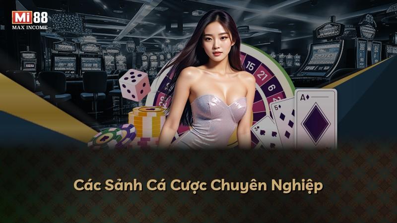 Các Sảnh Cá Cược Chuyên Nghiệp