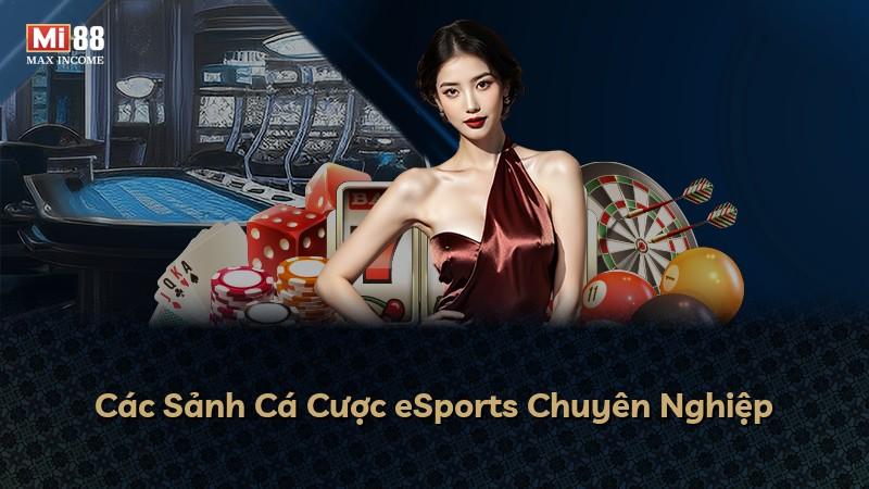 Các Sảnh Cá Cược eSports Chuyên Nghiệp