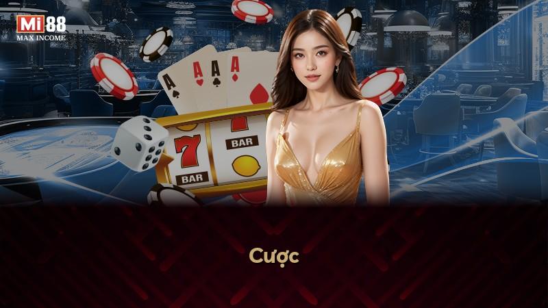 Cược
