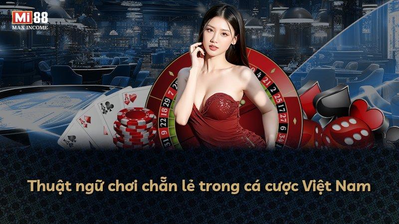 Thuật ngữ chơi chẵn lẻ trong cá cược Việt Nam