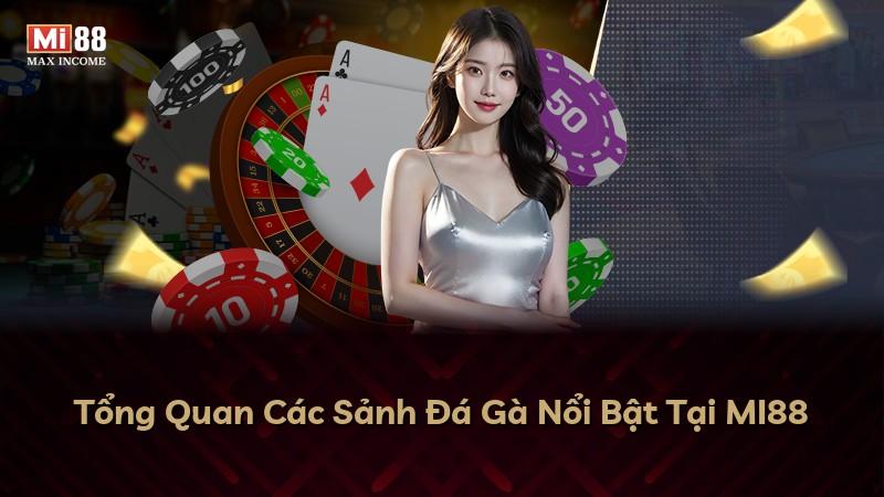 Tổng Quan Các Sảnh Đá Gà Nổi Bật Tại MI88