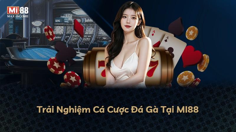 Trải Nghiệm Cá Cược Đá Gà Tại MI88
